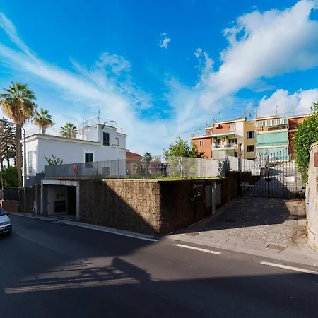 Agave 비코에쿠엔세